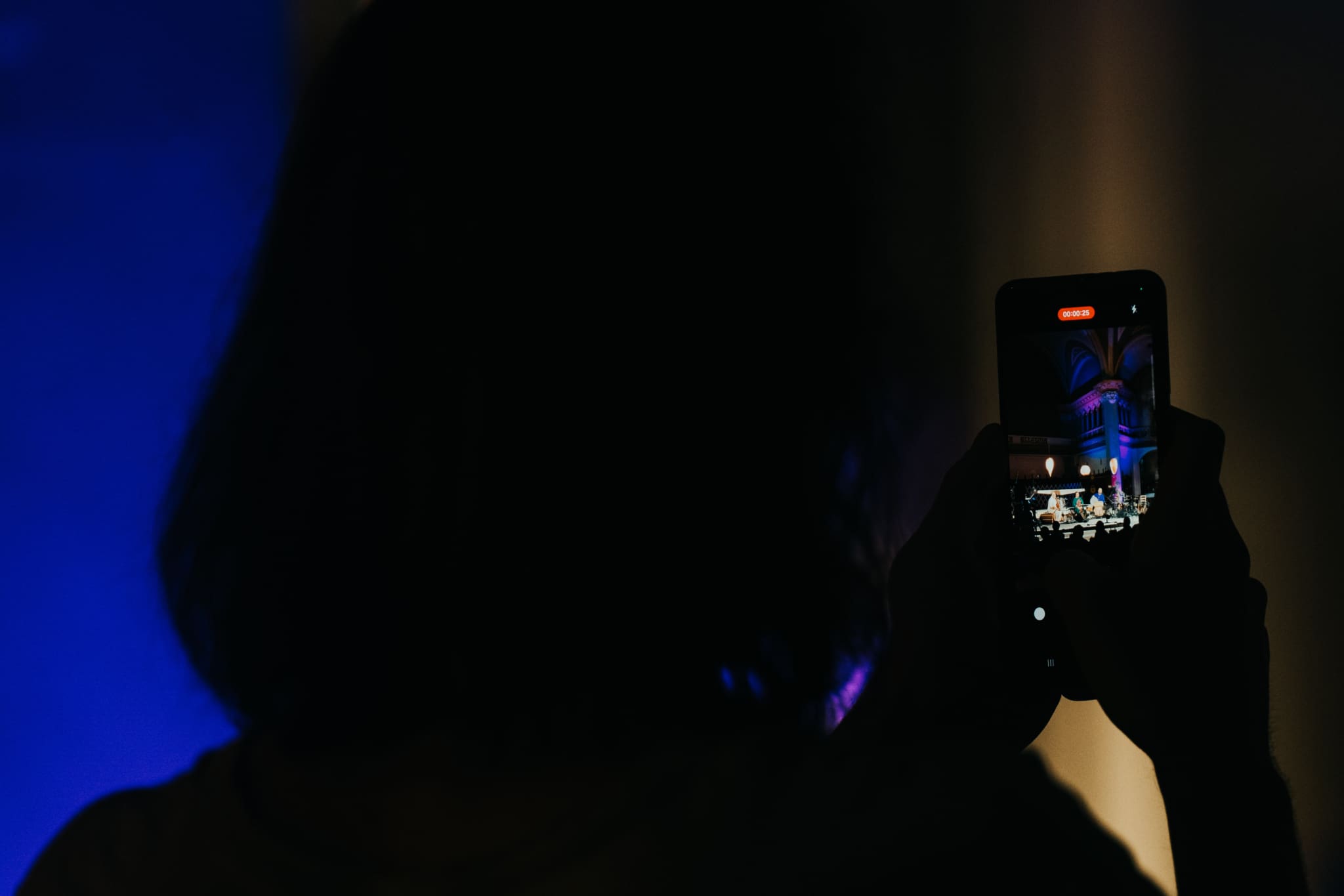 festival_2024